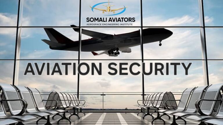 Aviation Security